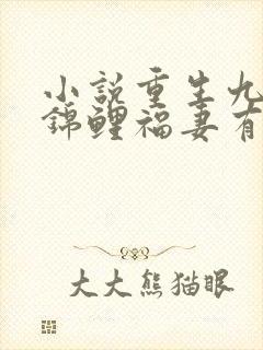 小说重生九零之锦鲤福妻有空间