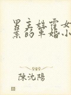 男主姓霍女主姓叶的军婚小说