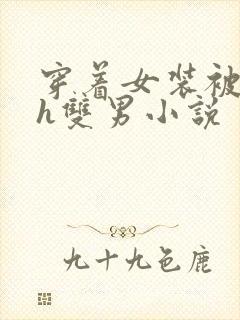 穿着女装被c高h双男小说