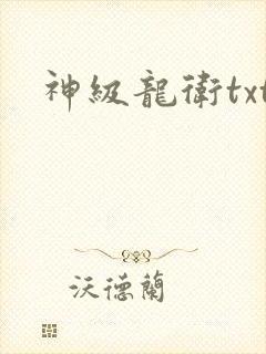 神级龙卫txt