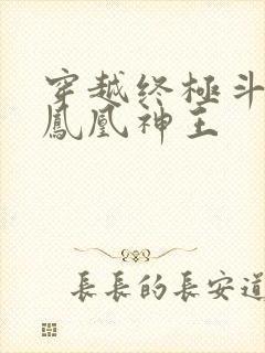 穿越终极斗罗成凤凰神王