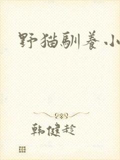 野猫驯养小说