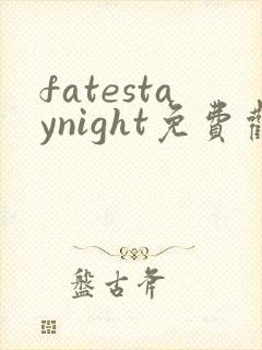 fatestaynight免费观看全集