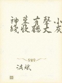 神墓有声小说在线收听大灰狼