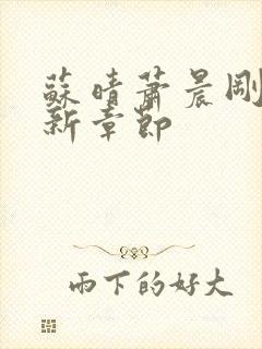 苏晴萧晨刚刚更新章节