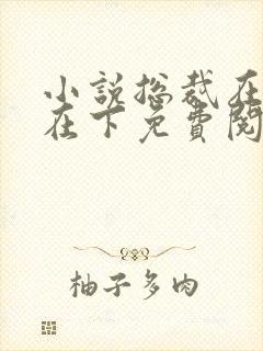 小说总裁在上我在下免费阅读