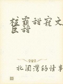 校霸甜宠文推荐巨甜