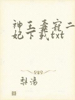 神王毒宠二嫁王妃下载txt