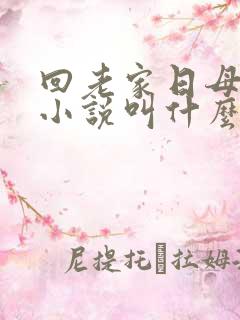 回老家日母原著小说叫什么名字