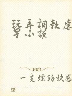 玩弄调教虐女明星小说