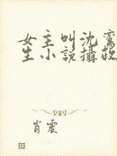 女主叫沈鸾的重生小说摄政王