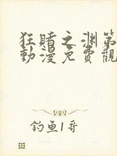 狂赌之渊第一季动漫免费观看