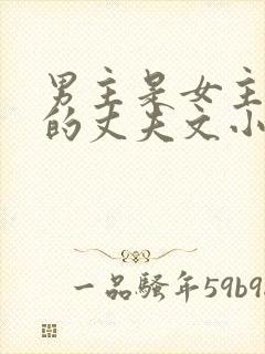 男主是女主姐姐的丈夫文小说