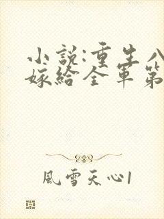 小说:重生八零嫁给全军第一硬汉