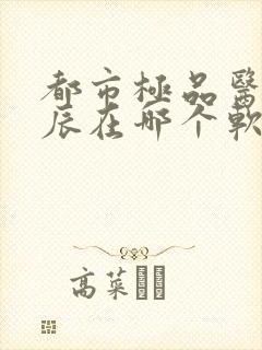 都市极品医神叶辰在哪个软件可以看