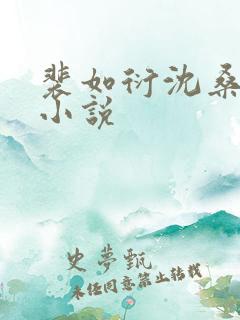 裴如衍沈桑宁的小说