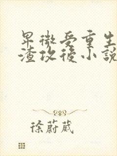 卑微受重生成为渣攻后小说