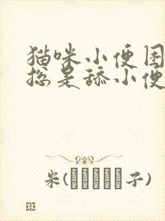 猫咪小便困难,总是舔小便的地方