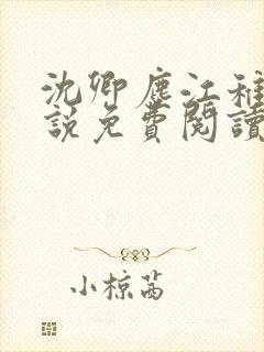 沈卿尘江稚的小说免费阅读全文