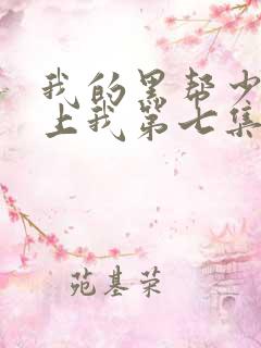 我的黑帮少爷爱上我第七集