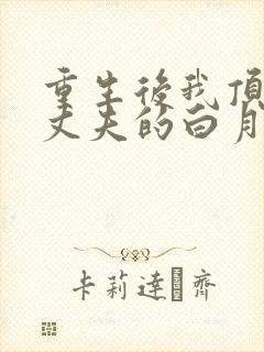 重生后我顶替了丈夫的白月光