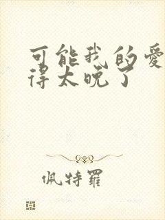 可能我的爱情来得太晚了