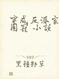 穿成反派家里当团宠 小说