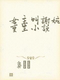 女主叫谢婉宁的重生小说