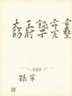 大王饶命会说话的肘子完整下载