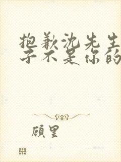 抱歉沈先生,孩子不是你的短剧全集