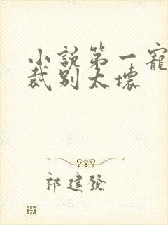 小说第一宠婚总裁别太坏