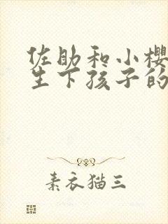 佐助和小樱怎么生下孩子的