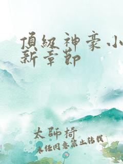 顶级神豪小说最新章节