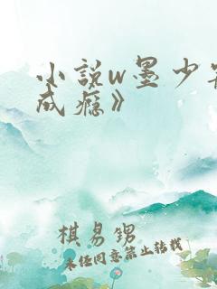 小说w墨少宠妻成瘾》