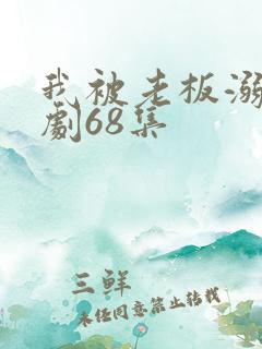 我被老板溺爱短剧68集