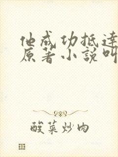 他成功抵达花心原著小说叫什么