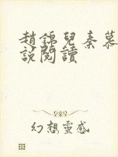 赵锦儿秦慕修小说阅读