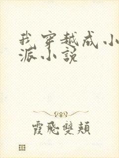 我穿越成小说反派小说