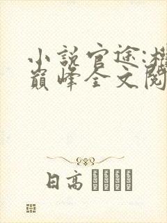 小说官途:权力巅峰全文阅读