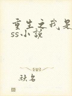 重生之我是boss小说