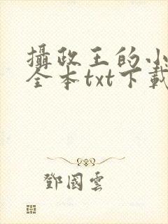摄政王的小闲妻全本txt下载