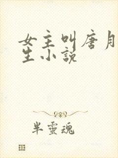 女主叫唐月的重生小说