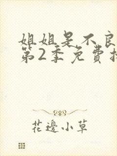 姐姐是不良少女第2季免费播放