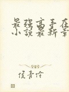 最强高手在都市小说最新章节