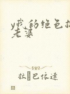 y我的绝色总裁老婆