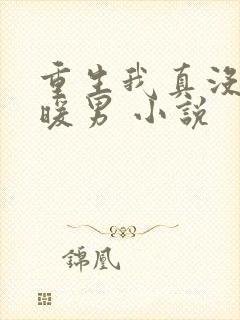 重生我真没想当暖男 小说