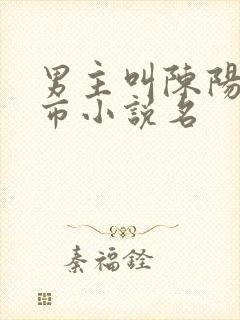 男主叫陈阳的都市小说名