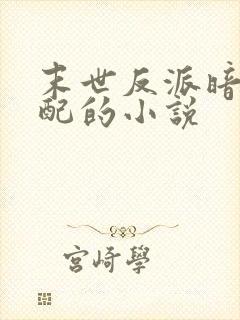 末世反派暗恋女配的小说