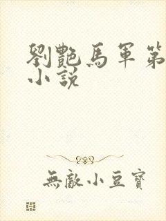 刘艳马军第九部小说
