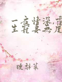 一夜情深,霍先生宠妻无度完本